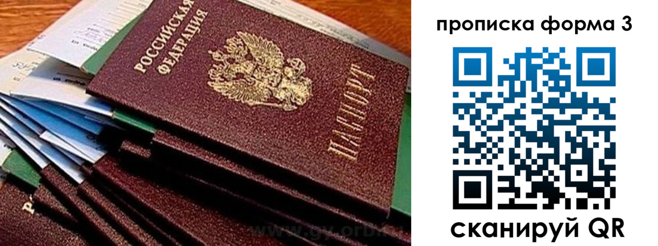 прописка иностранных граждан в Вологодской области
